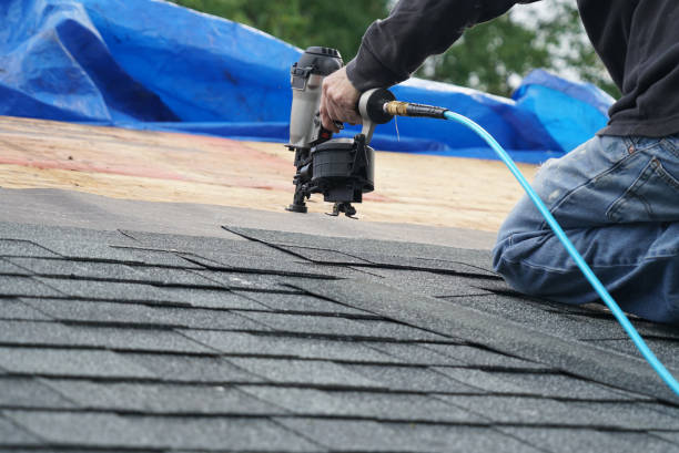 Roof Moss and Algae Removal in Union, SC